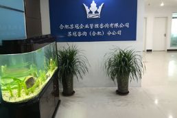 蘇冠咨詢(xún)合肥分公司成立